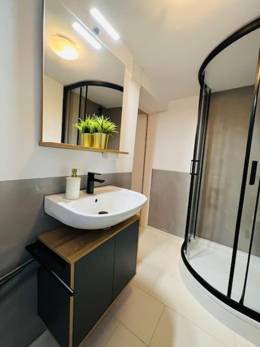 Rheingold Apartment *